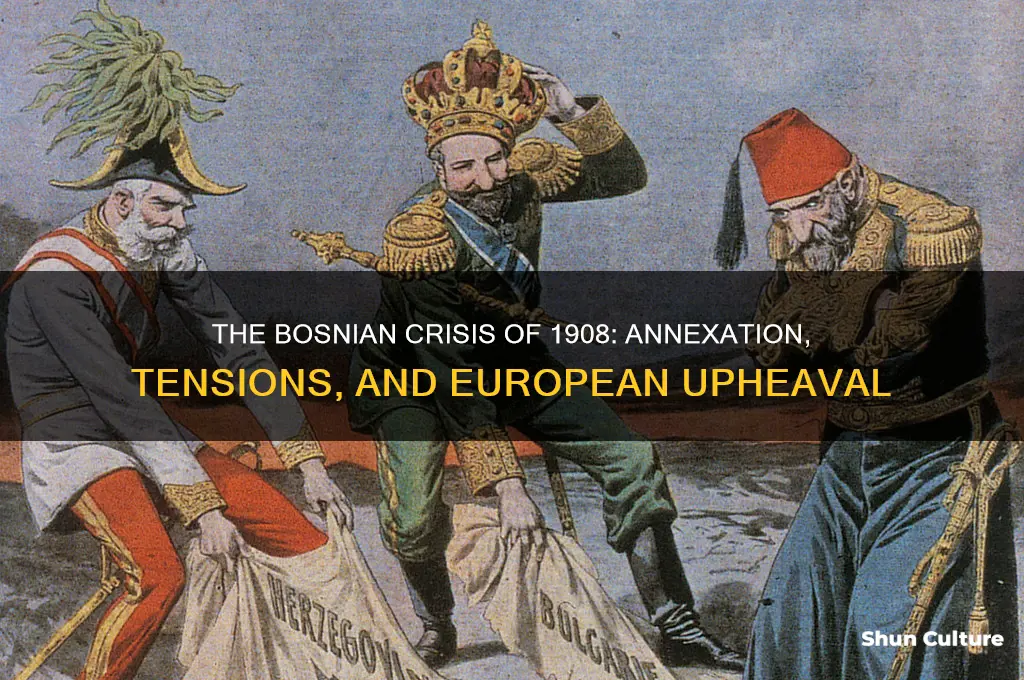 what happened during the bosnian crisis in 1908
