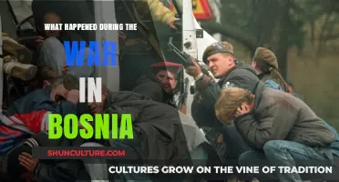 Bosnia's War: A Timeline of Conflict, Tragedy, and Resilience