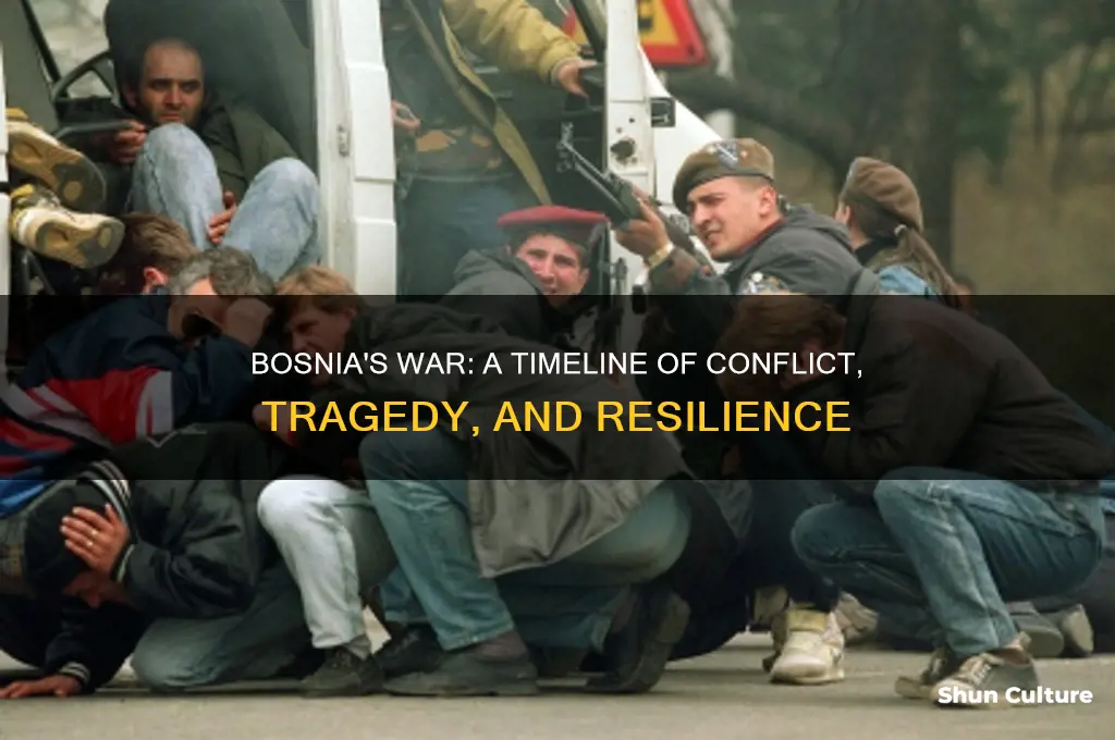 what happened during the war in bosnia