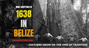 The Forgotten Year: Unraveling Belize's Mysteries of 1638