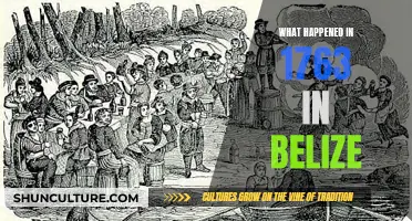 The Battle of 1763: A Turning Point for Belize's Independence