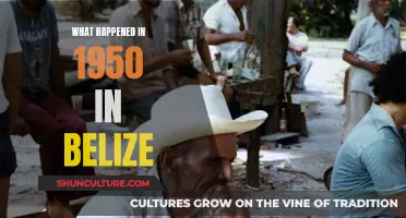 Belize in 1950: A Year of Change and Progress