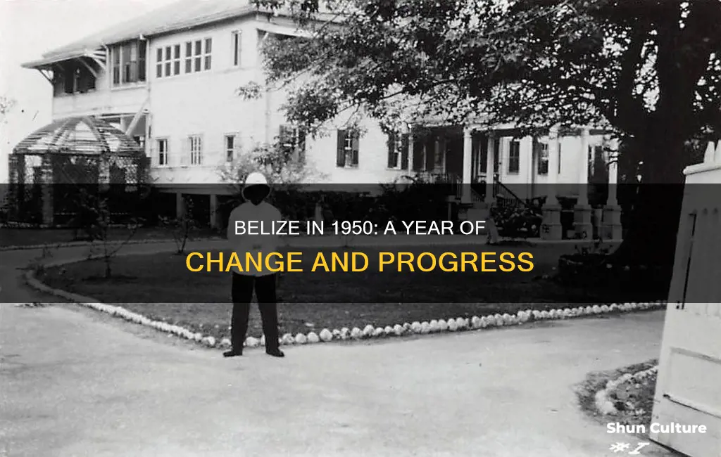 what happened in 1950 in belize