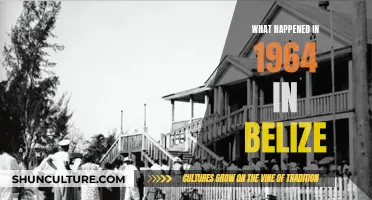 Belize's Turbulent Times: A Look Back at 1964