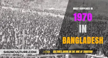 Bangladesh's 1970 Turning Point: Liberation War Catalyst and Cyclone Devastation