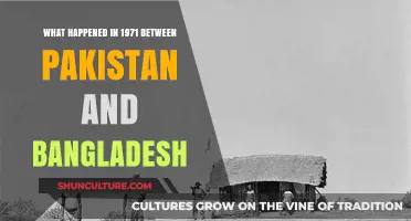 The 1971 Bangladesh Liberation War: Pakistan's Brutal Divide and Independence