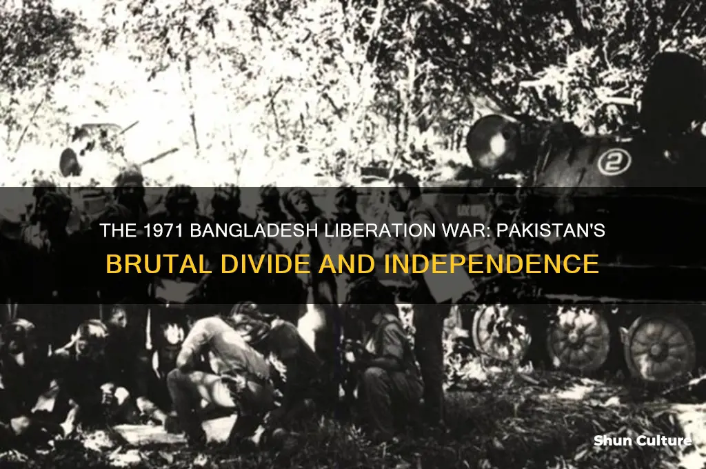 what happened in 1971 between pakistan and bangladesh