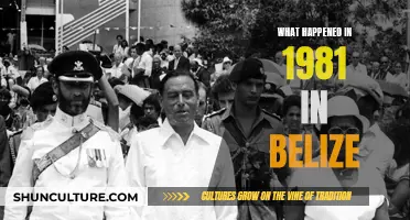 Belize's Turbulent Year: A Look Back at 1981