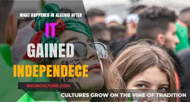 Algeria's Post-Independence Journey: Challenges, Triumphs, and Transformation