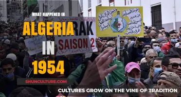 Algeria's 1954 Uprising: Sparking Independence and Shaping History