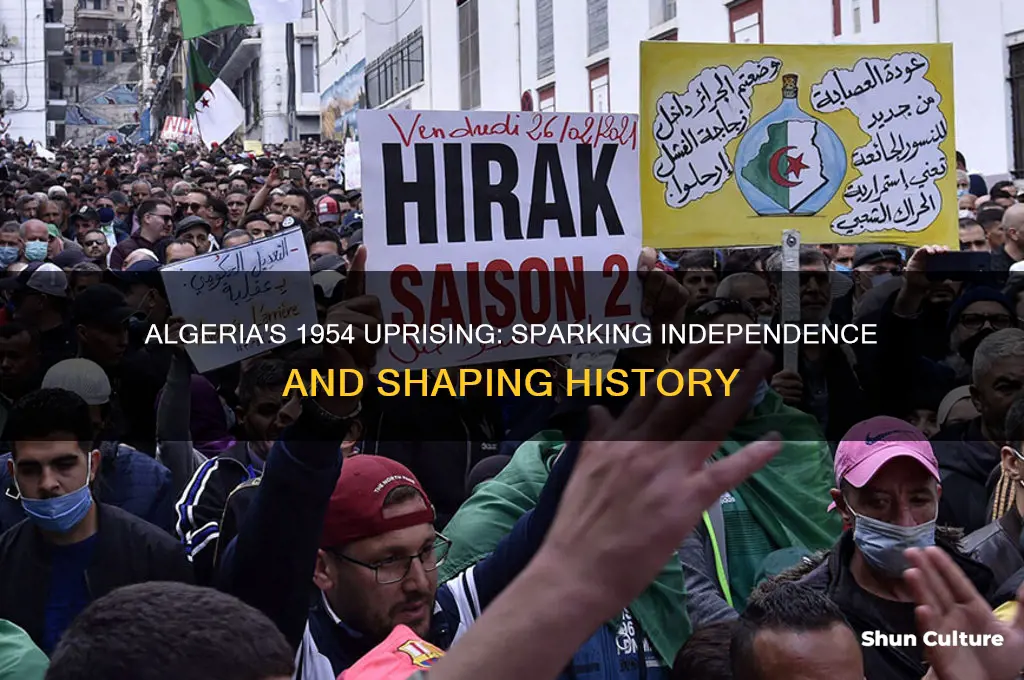 what happened in algeria in 1954