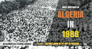 Algeria's 1988 October Riots: A Turning Point in Political History