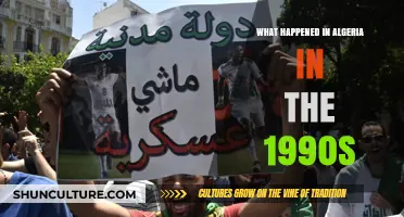 Algeria's Turbulent 1990s: Civil War, Political Crisis, and Struggles