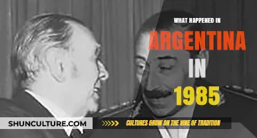 Argentina's 1985 Transition: From Dictatorship to Democracy