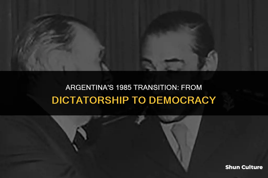what happened in argentina in 1985