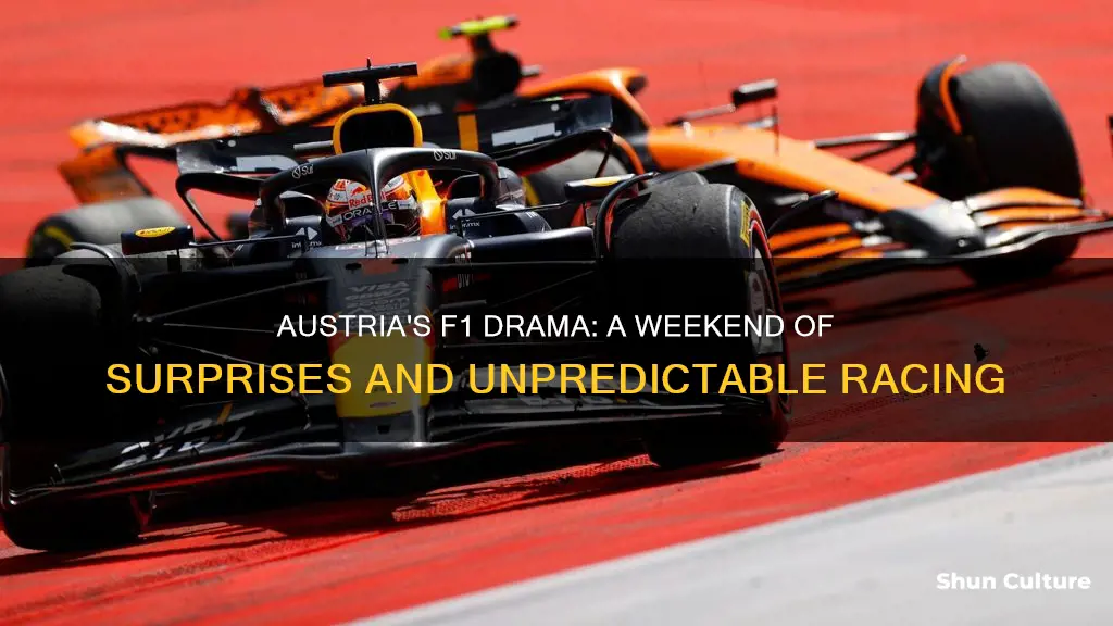 what happened in austria f1 fans