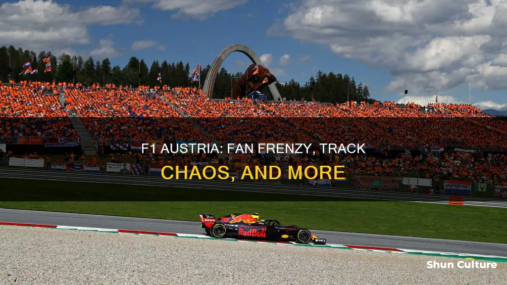what happened in austria f1 fans