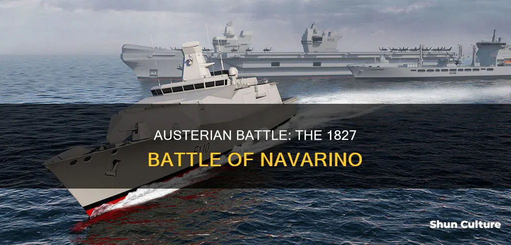 what happened in austria in 1827 battle of navarino