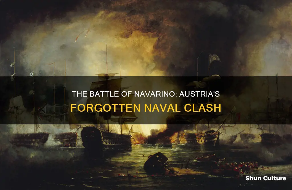 what happened in austria in 1827 battle of navarino