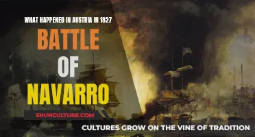 Austerian Conflict: Battle of Navarro, 1827: A Turning Point in History