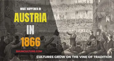 A Year of Turmoil: Austria's 1866 Revolution and its Impact