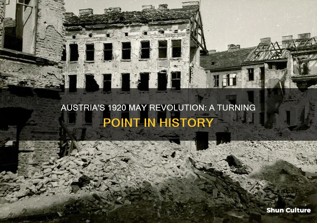 what happened in austria may 21 1920