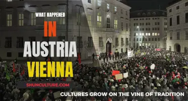 Vienna's Historic Turn: Austria's 19th-Century Revolution