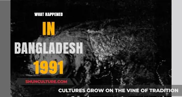 Bangladesh's Devastating 1991 Cyclone: A Historic Tragedy Unfolds