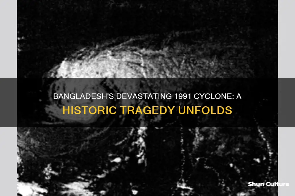 what happened in bangladesh 1991