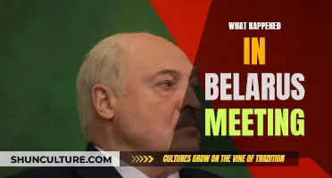 The Belarus Meeting: What Really Went Down?