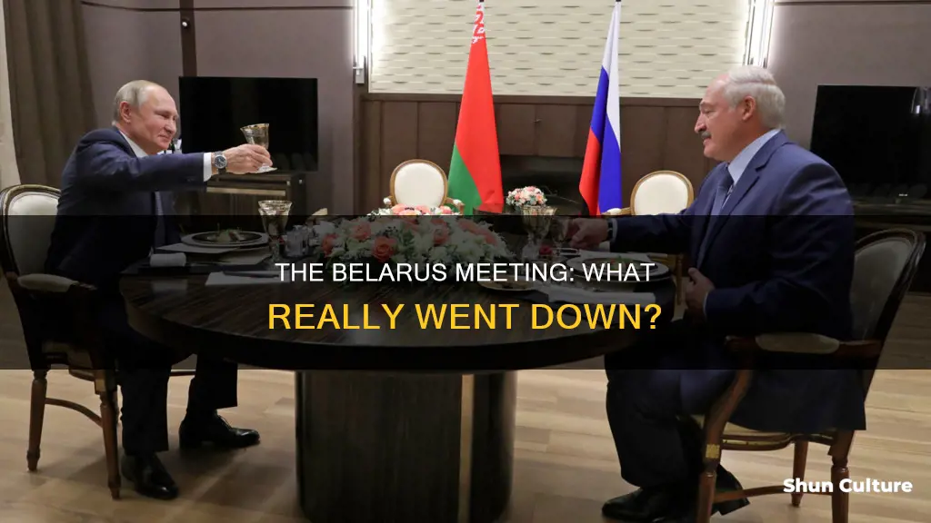 what happened in belarus meeting