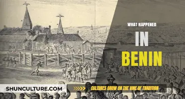 Unveiling the Historical Tapestry: Benin's Journey Through Time