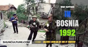 Bosnia's 1992 Tragedy: Unraveling the Devastating War's Origins and Impact