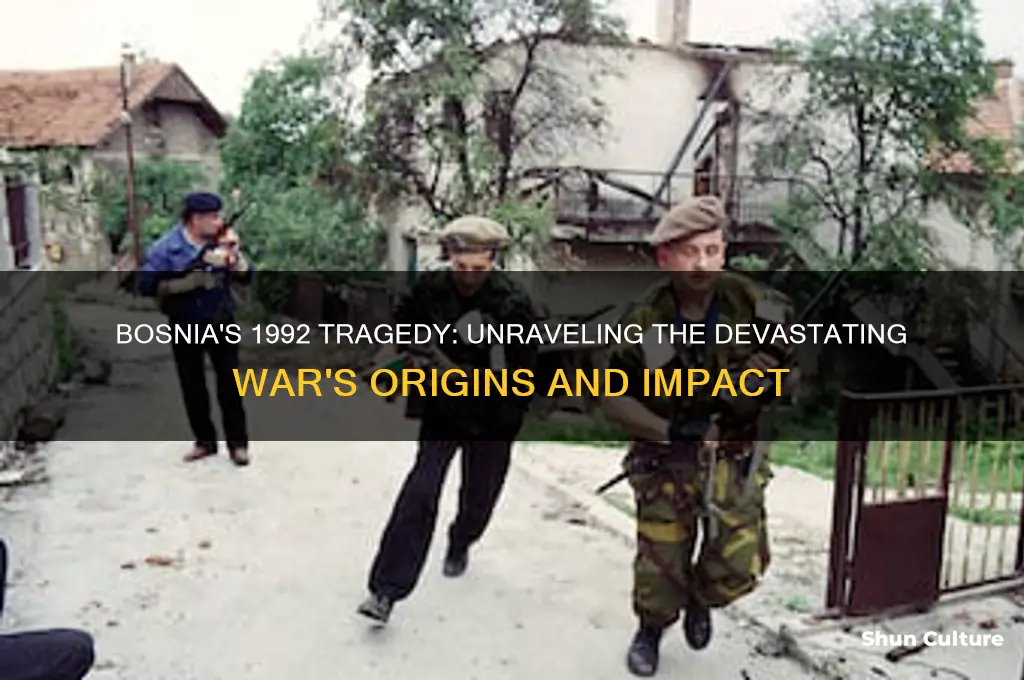 what happened in bosnia 1992