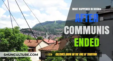 Bosnia's Post-Communist Struggles: War, Recovery, and a Fragile Peace