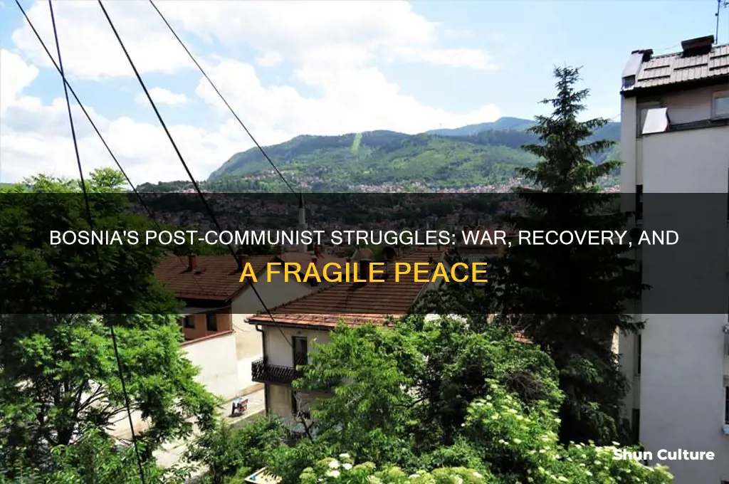 what happened in bosnia after communism ended