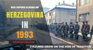Bosnia and Herzegovina's 1993: A Year of War, Siege, and Strife