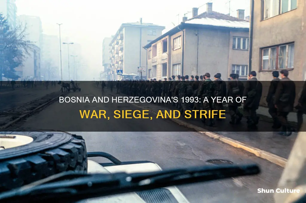 what happened in bosnia and herzegovina in 1993
