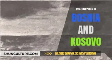 Bosnia and Kosovo: Unraveling the Balkan Wars' Tragic Legacy