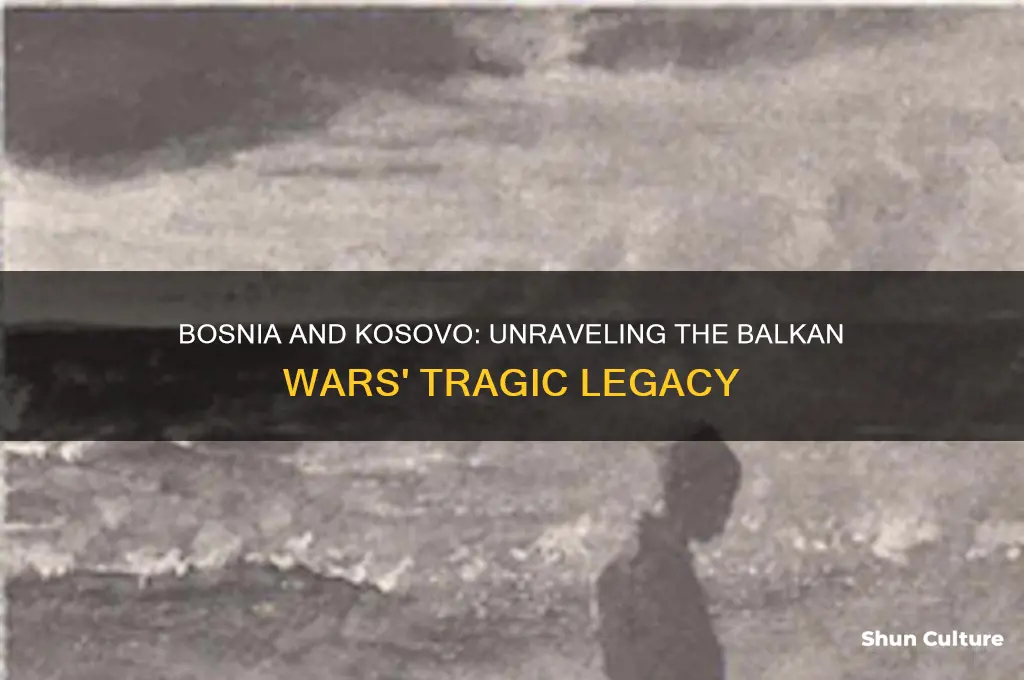 what happened in bosnia and kosovo