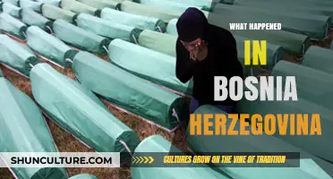 Bosnia-Herzegovina's Turbulent Past: Unraveling the Complex History and Aftermath