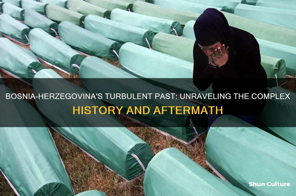 what happened in bosnia herzegovina
