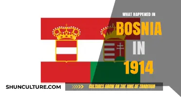 The Spark of War: Bosnia's 1914 Crisis and Global Consequences