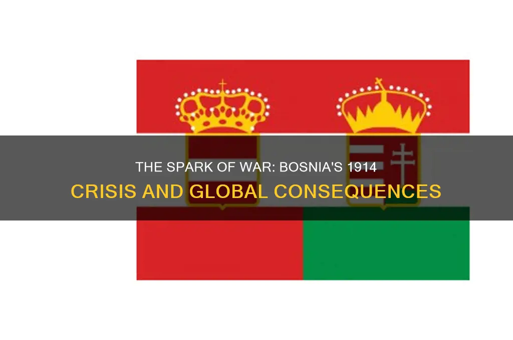 what happened in bosnia in 1914