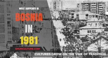 Bosnia's 1981 Turning Point: Unraveling the Events and Their Legacy