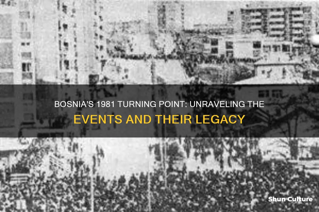 what happened in bosnia in 1981