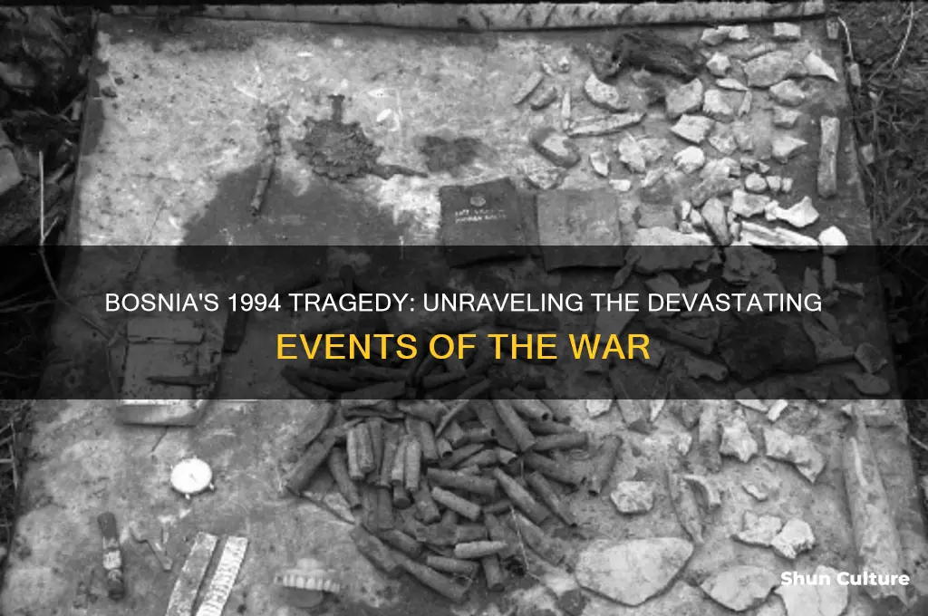 what happened in bosnia in 1994