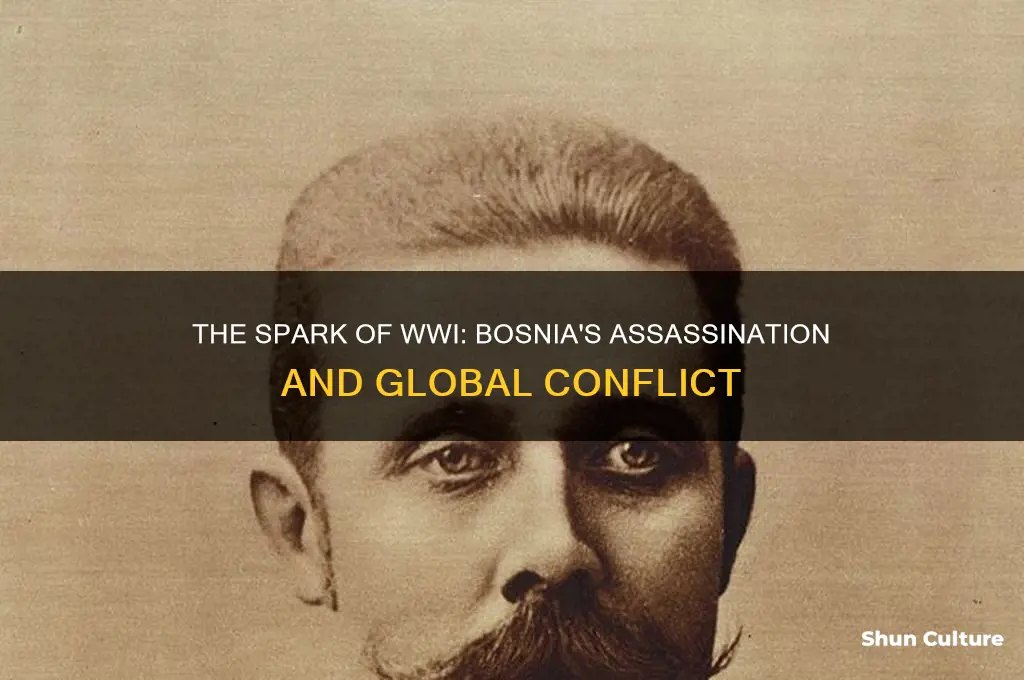 what happened in bosnia to cause wwi
