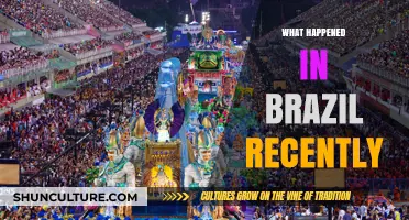 Recent Brazil Events: Political Shifts, Economic Updates, and Social Movements