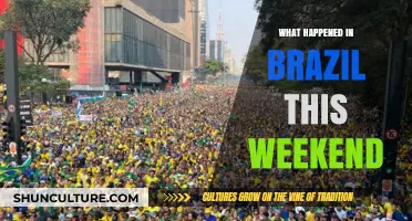 Brazil's Weekend Highlights: Protests, Festivals, and Political Developments